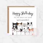 Happy Birthday To The Best Cat Mum