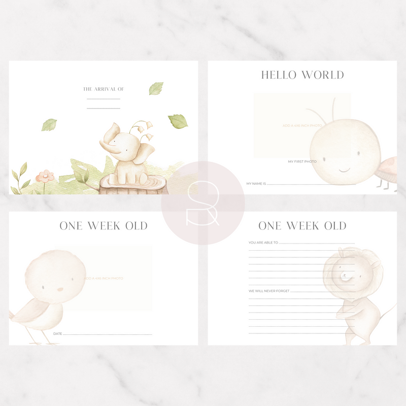 First Year | Spring Meadow
