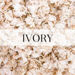 Ivory Dried Flower Confetti | Biodegradable